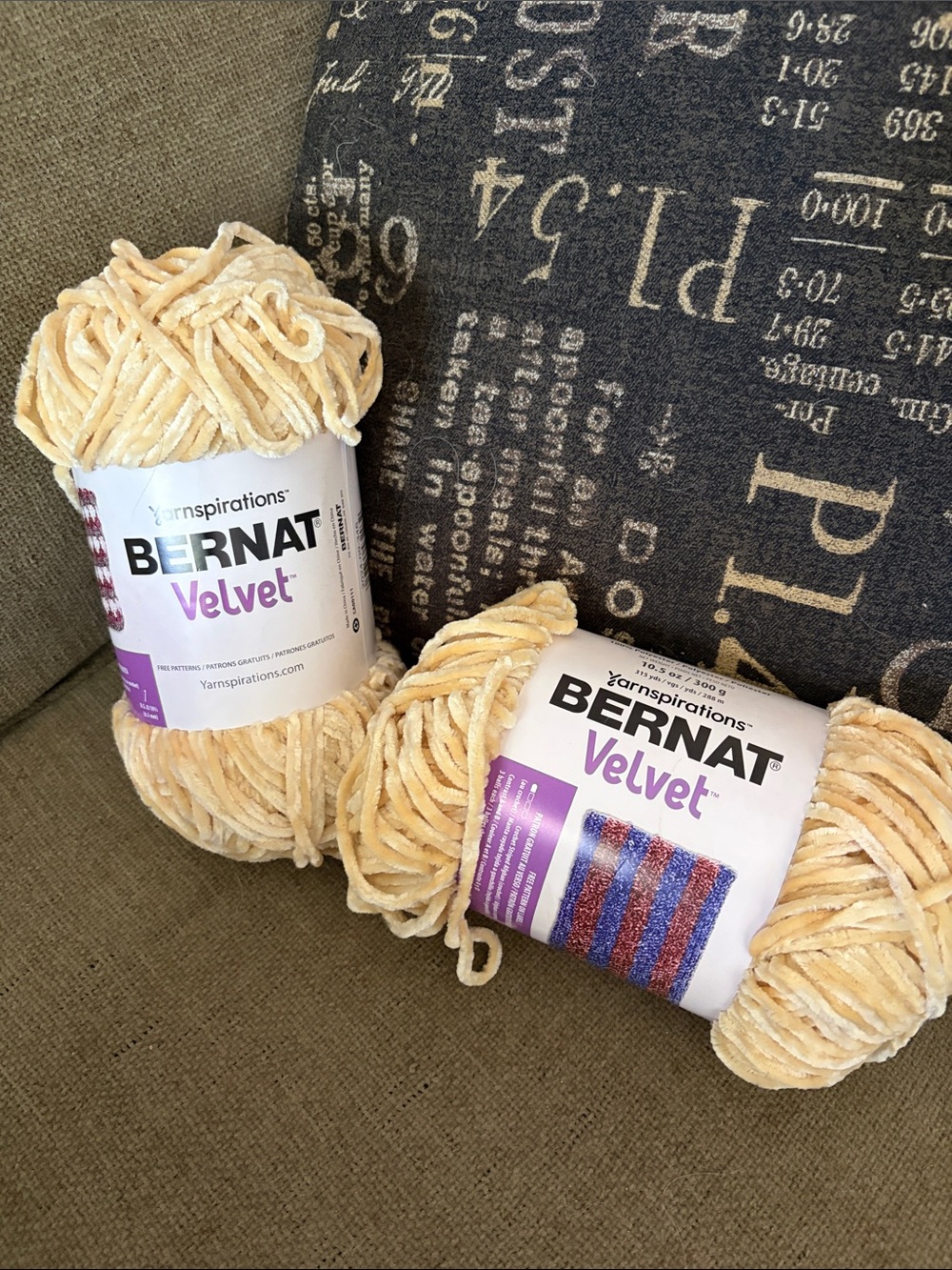 Bernat Velvet Yarn bulky weight - Cream Plush Chenille